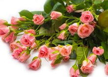 Charger l'image dans la galerie, Bloomsy Deluxe
